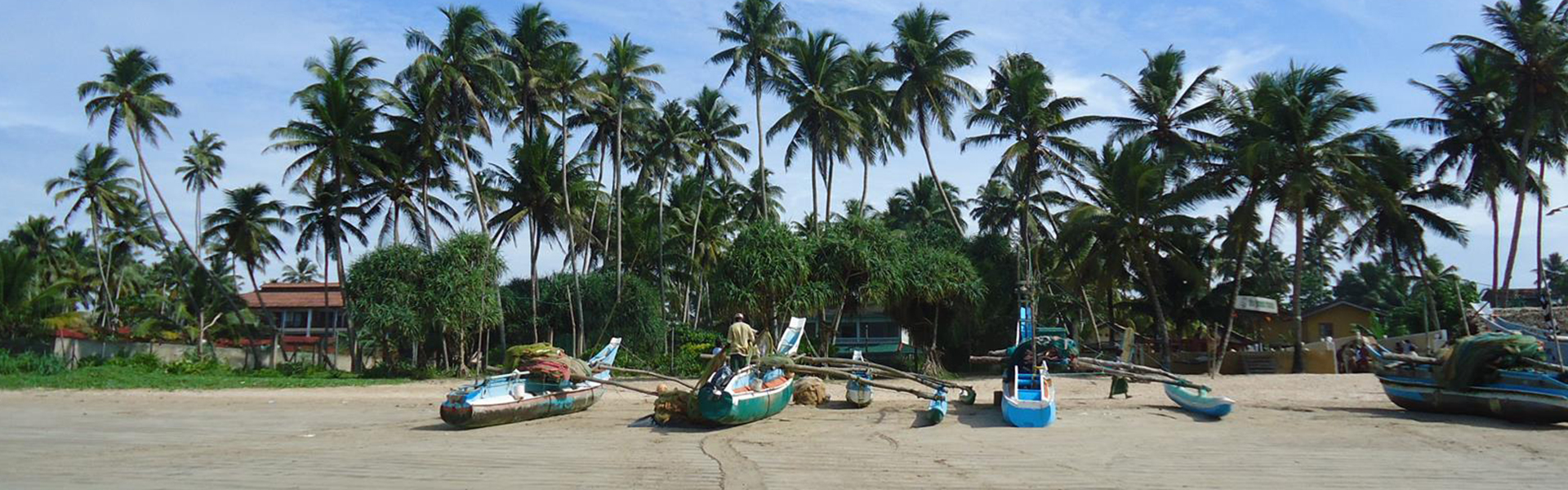 Fischerboote unter Palmen an der Küste Sri Lankas