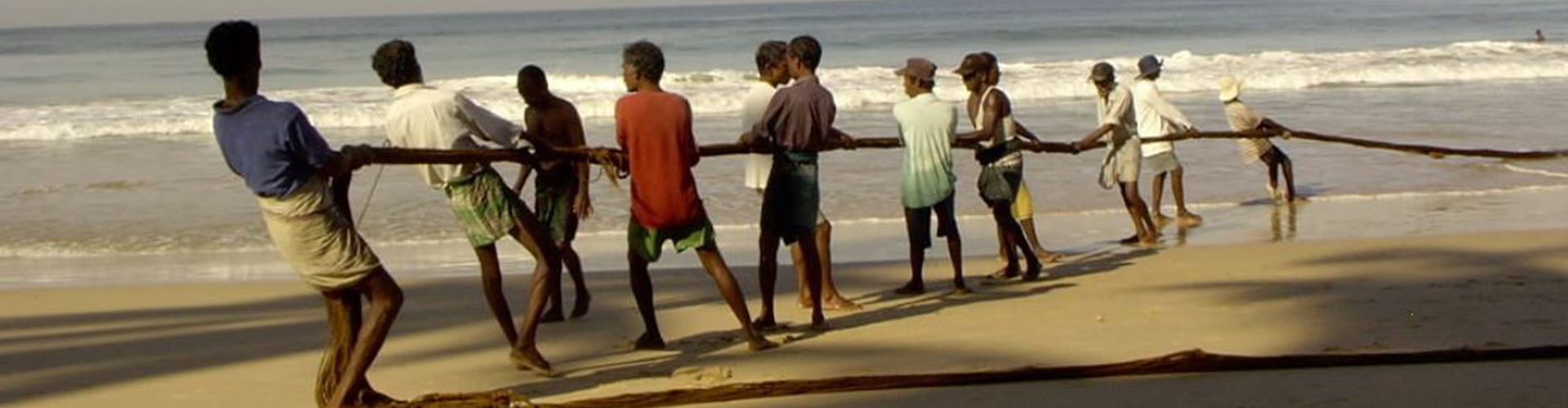 Fischer ziehen gemeinsam ein Netz am Strand von Sri Lanka